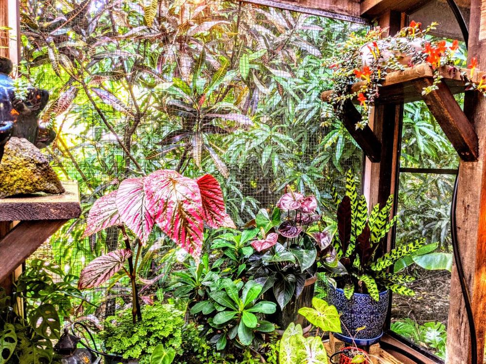Double Room with Garden View interior